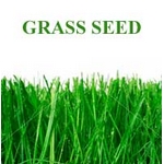 Amenity Grass Seed X 1kg