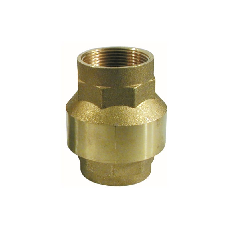 Spring Loaded Non Return Valves