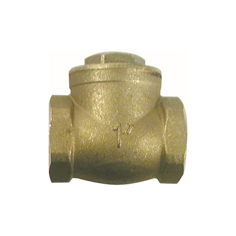 Swinging Check Valves